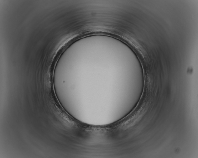 X0000096970782200803071005