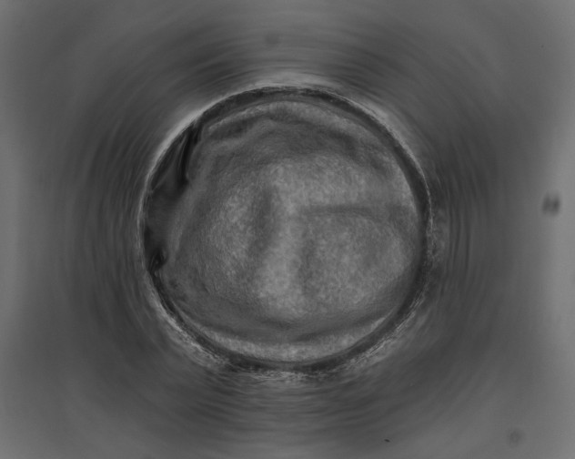 X0000096970783200803071005