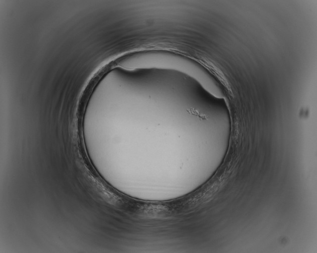 X0000096970784200803071005