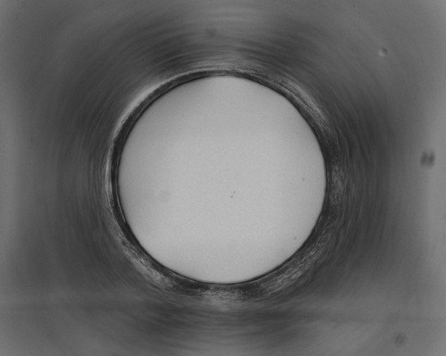 X0000096970788200803071005