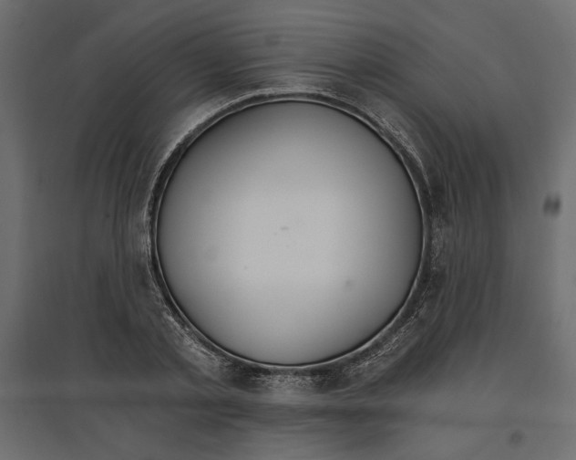 X0000096970789200803071005