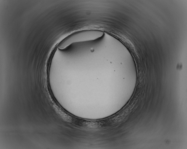 X0000096970792200803071005