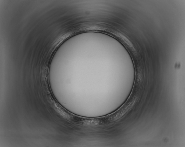 X0000096970793200803071005