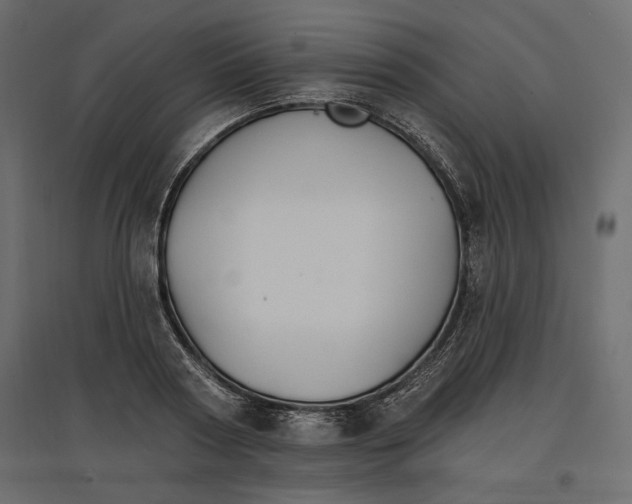 X0000096970794200803071005