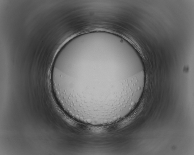 X0000096970798200803071005