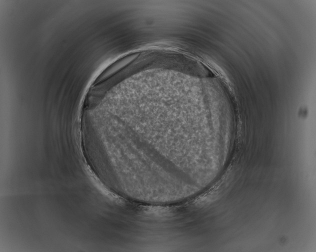 X0000096970800200803071005