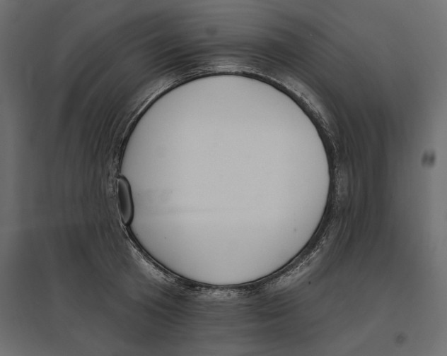 X0000096970801200803071005