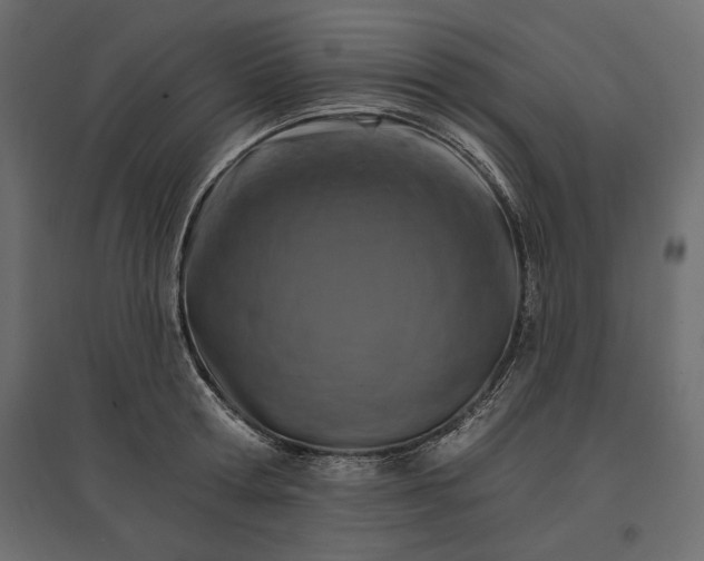X0000096970802200803071005