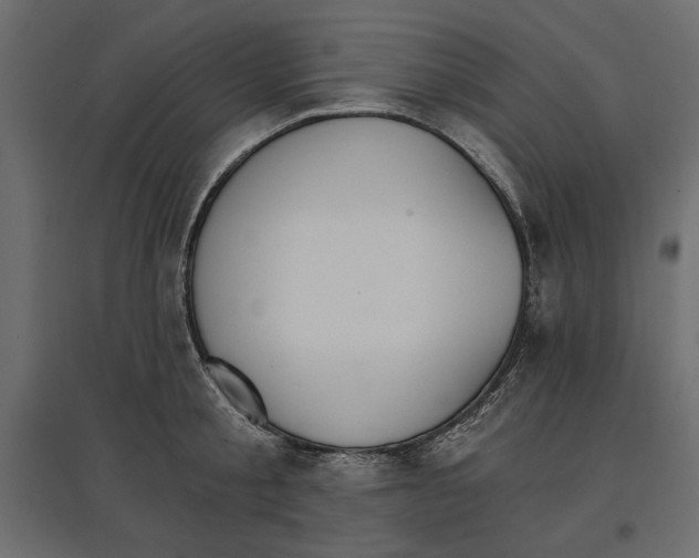 X0000096970805200803071005