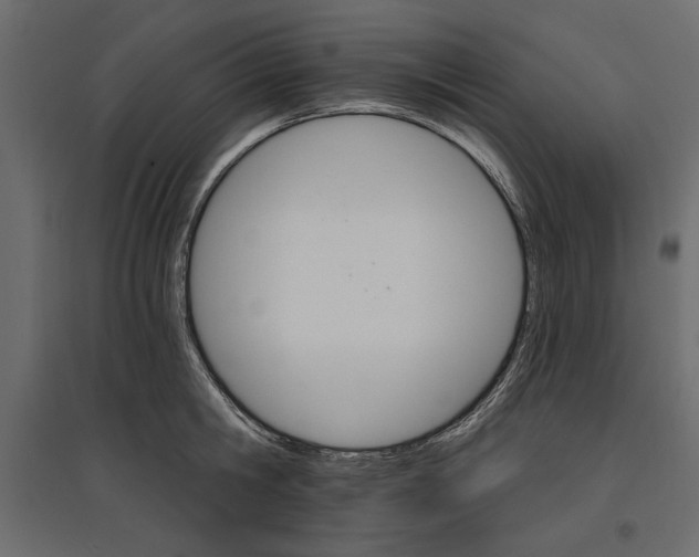 X0000096970806200803071005