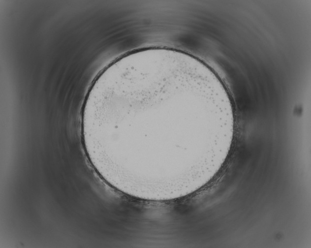 X0000096970807200803071005