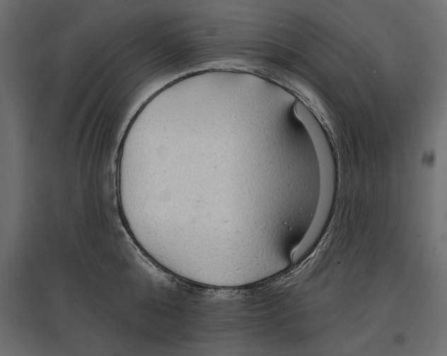 X0000096970808200803071005