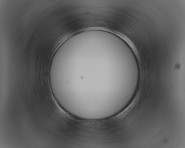 X0000096970809200803071005