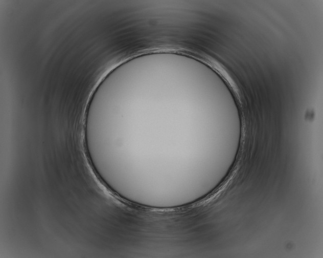 X0000096970810200803071005