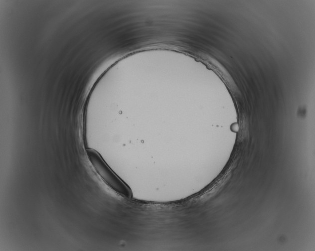 X0000096970812200803071004