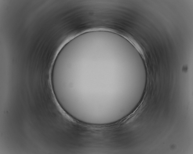 X0000096970813200803071004