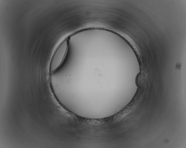 X0000096970815200803071004