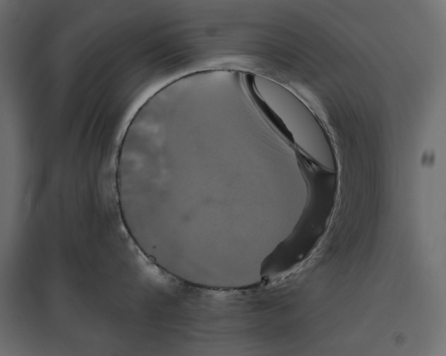 X0000096970816200803071004