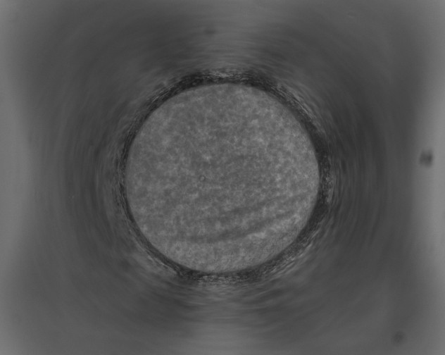 X0000096970817200803071004