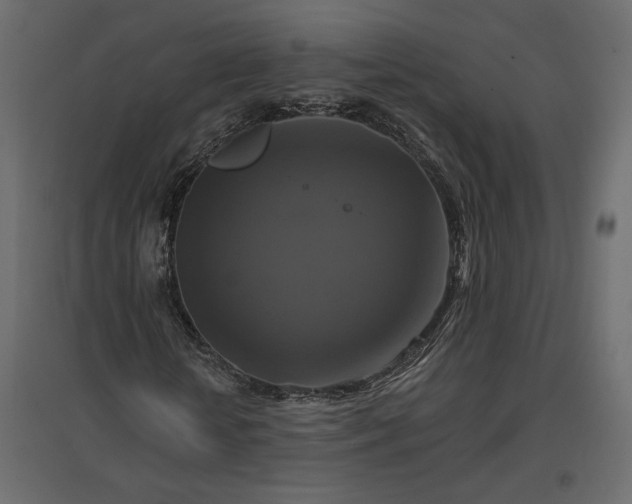 X0000096970818200803071004