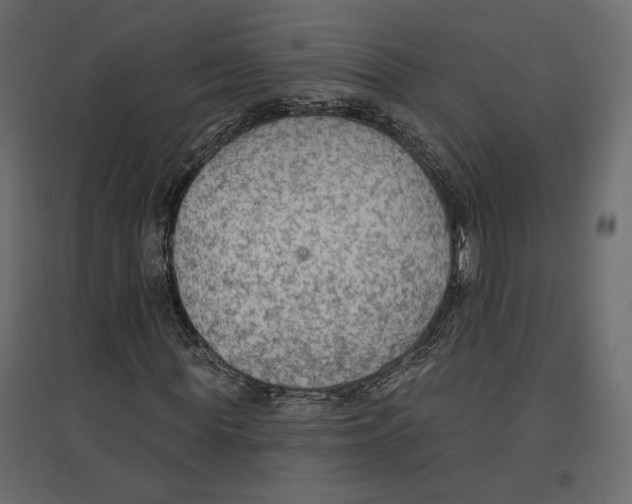 X0000096970819200803071004