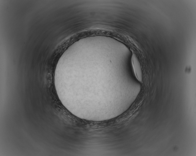 X0000096970821200803071004