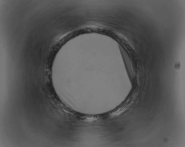 X0000096970822200803071004