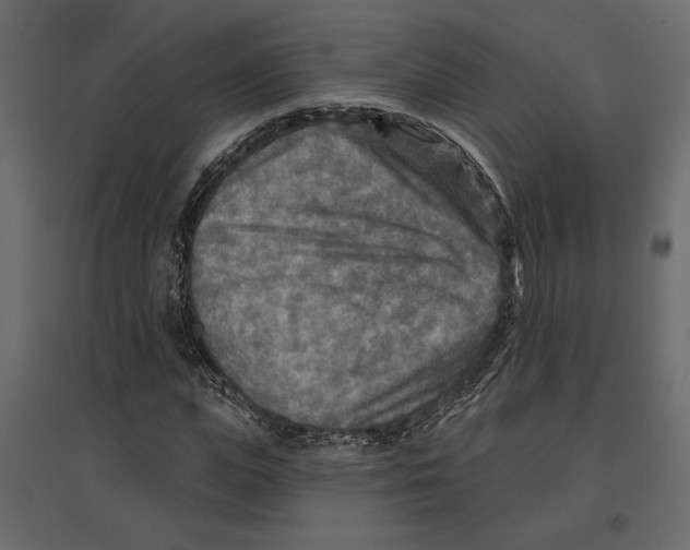 X0000096970823200803071004