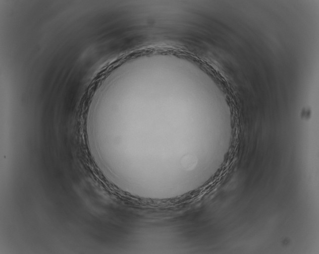 X0000096970824200803071004