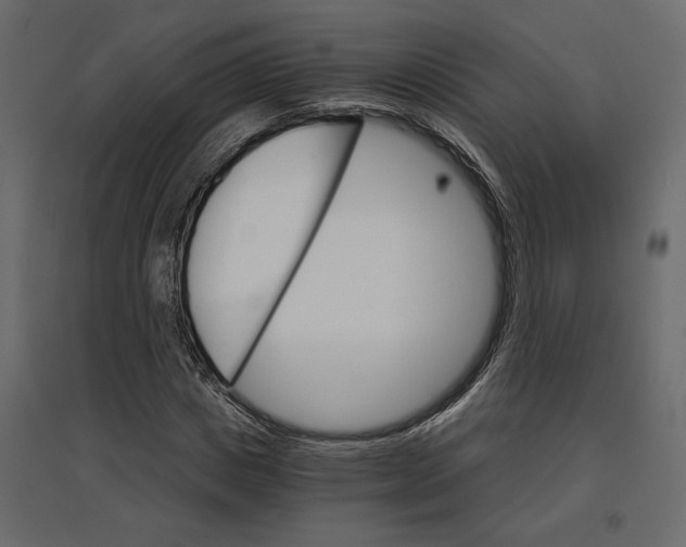 X0000096970825200803071004