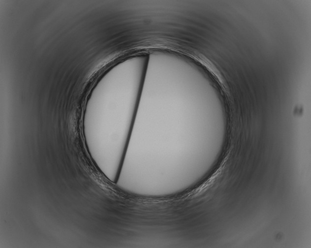 X0000096970826200803071004