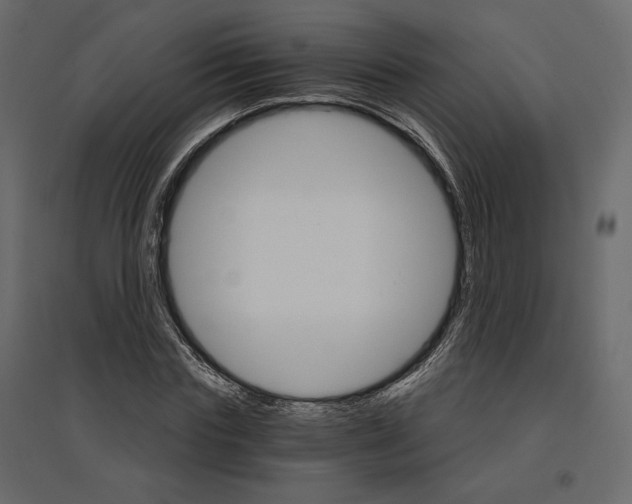 X0000096970827200803071004