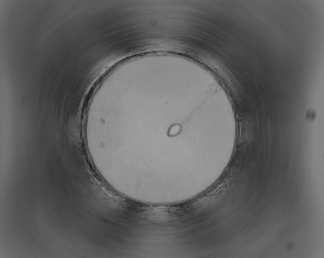 X0000096970828200803071004