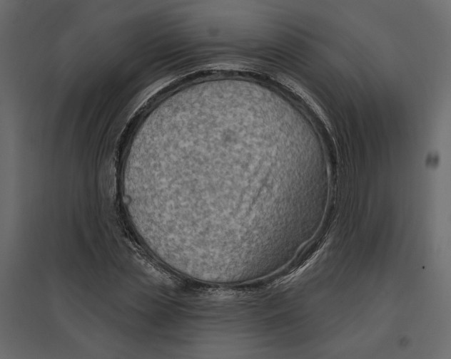 X0000096970829200803071004