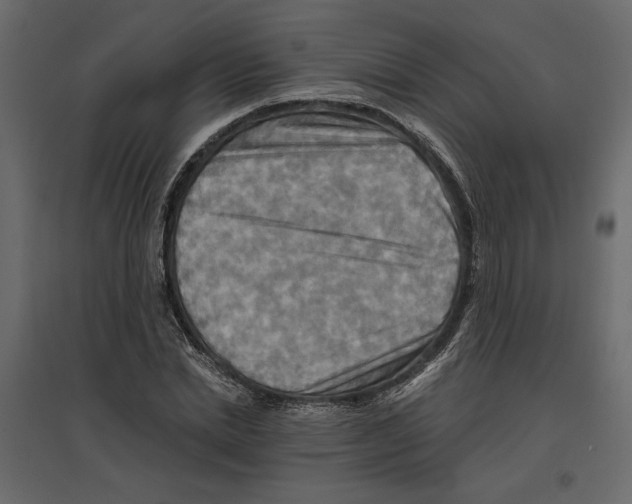 X0000096970830200803071004