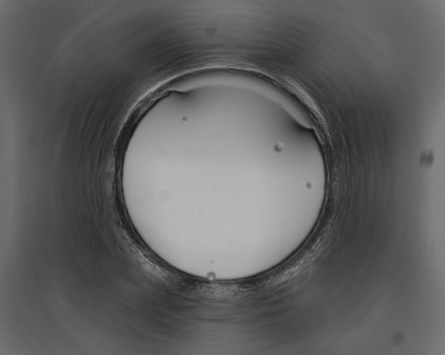 X0000096970831200803071004