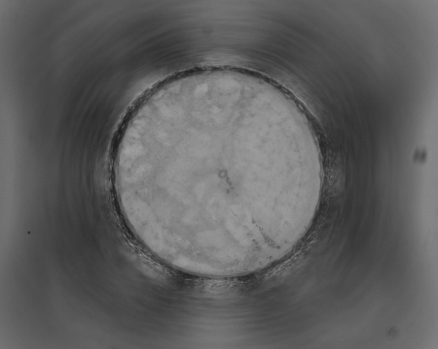 X0000096970832200803071004