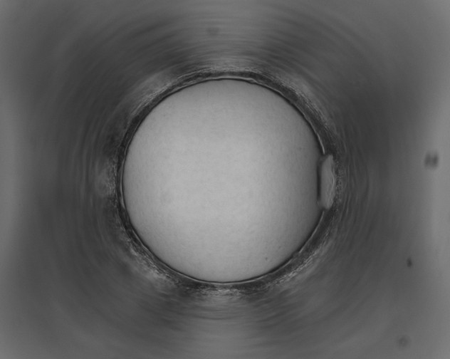 X0000096970833200803071004