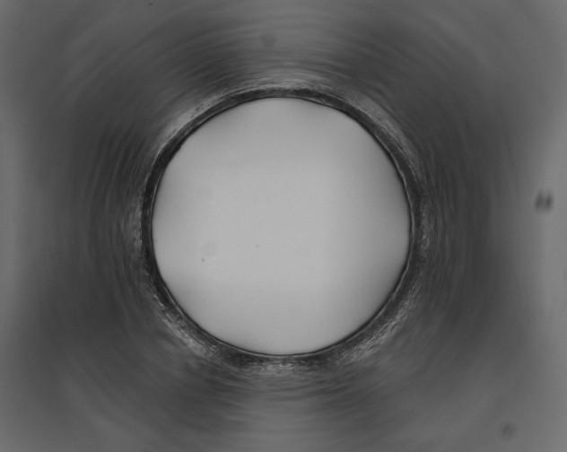 X0000096970834200803071004