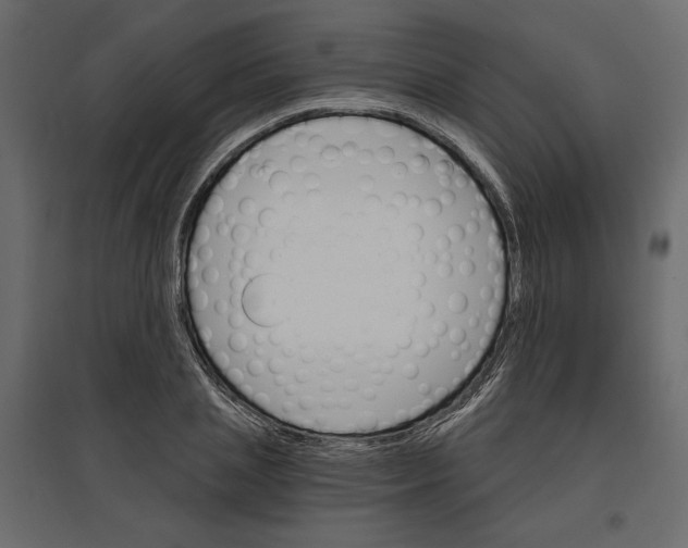 X0000096970837200803071004