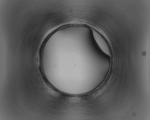 X0000096970838200803071004