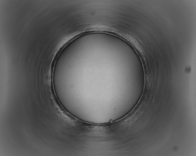 X0000096970839200803071004