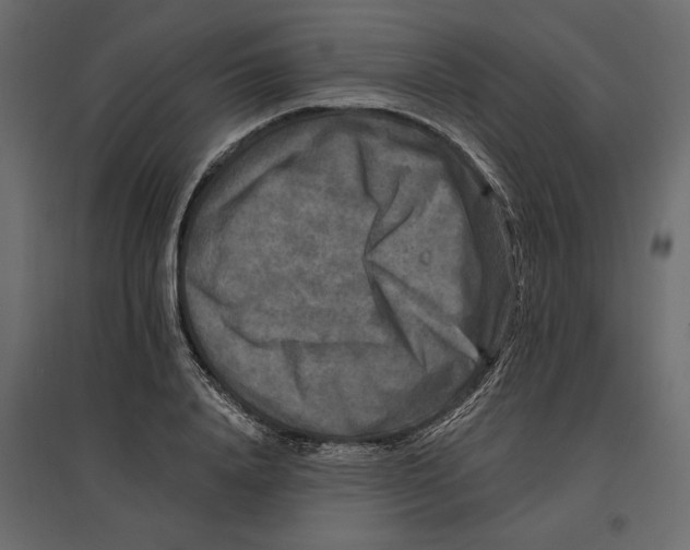 X0000096970840200803071004