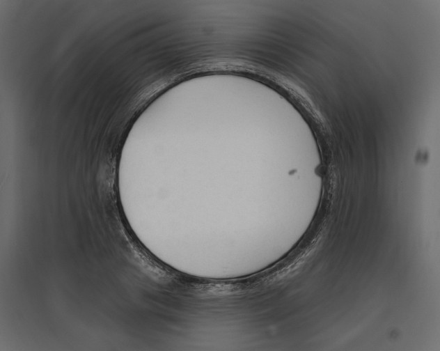 X0000096970841200803071004