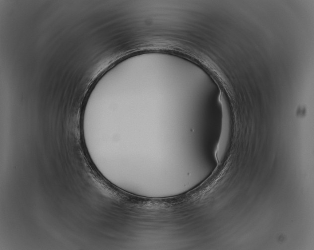 X0000096970842200803071004