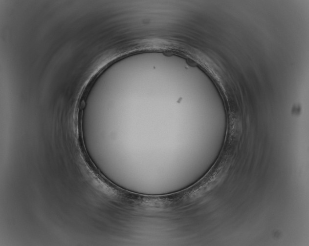 X0000096970843200803071004