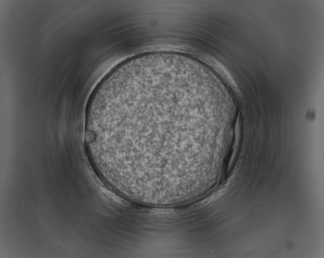 X0000096970844200803071004