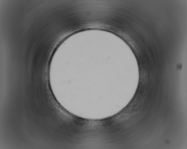 X0000096970848200803071004