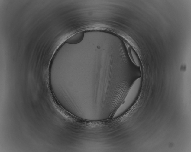 X0000096970850200803071004