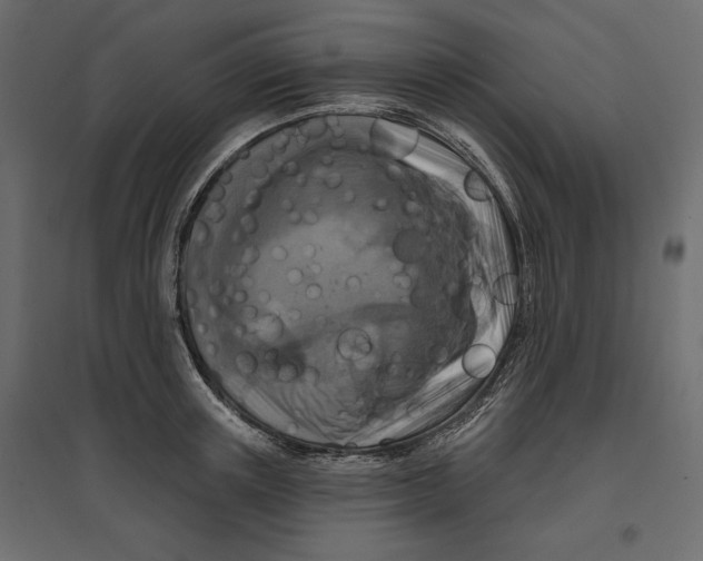 X0000096970851200803071004